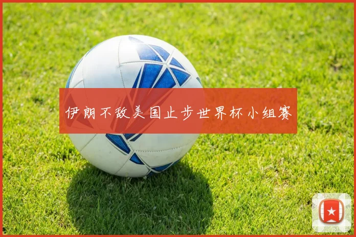 伊朗不敌美国止步世界杯小组赛