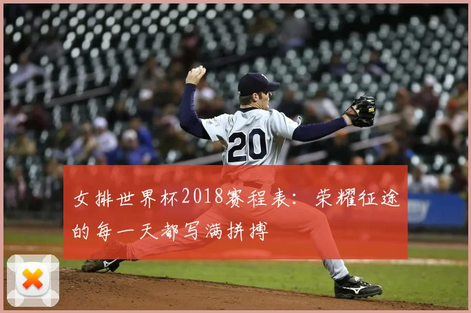 女排世界杯2018赛程表：荣耀征途的每一天都写满拼搏