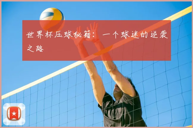 世界杯压球秘籍:一个球迷的逆袭之路