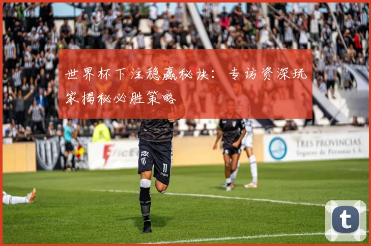 世界杯下注稳赢秘诀：专访资深玩家揭秘必胜策略