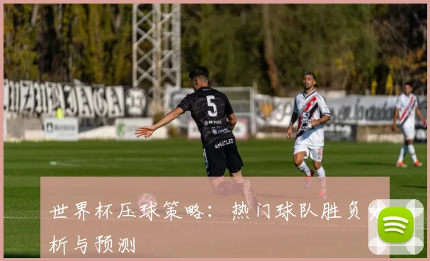 世界杯压球策略:热门球队胜负分析与预测