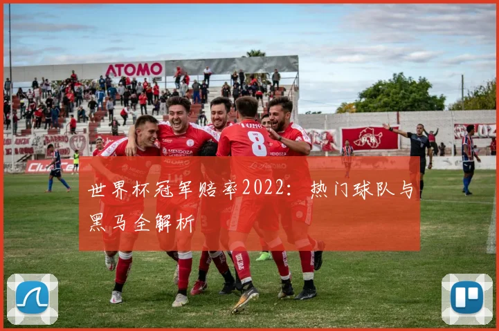 世界杯冠军赔率2022：热门球队与黑马全解析