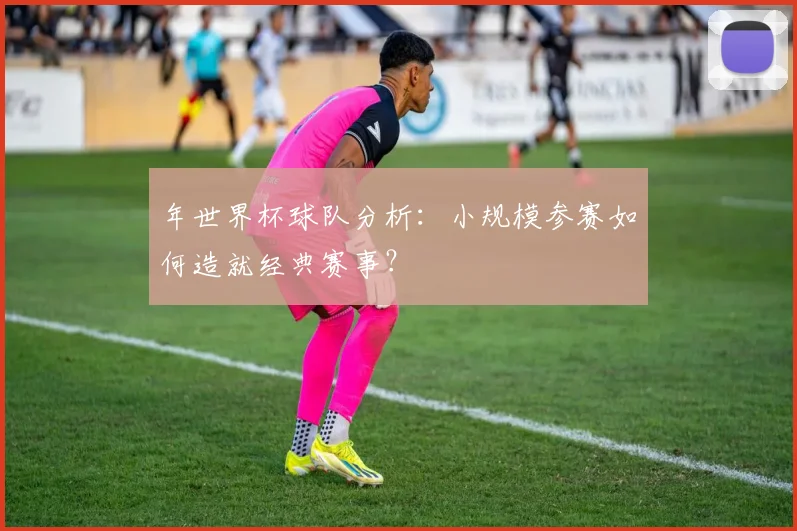 年世界杯球队分析:小规模参赛如何造就经典赛事?